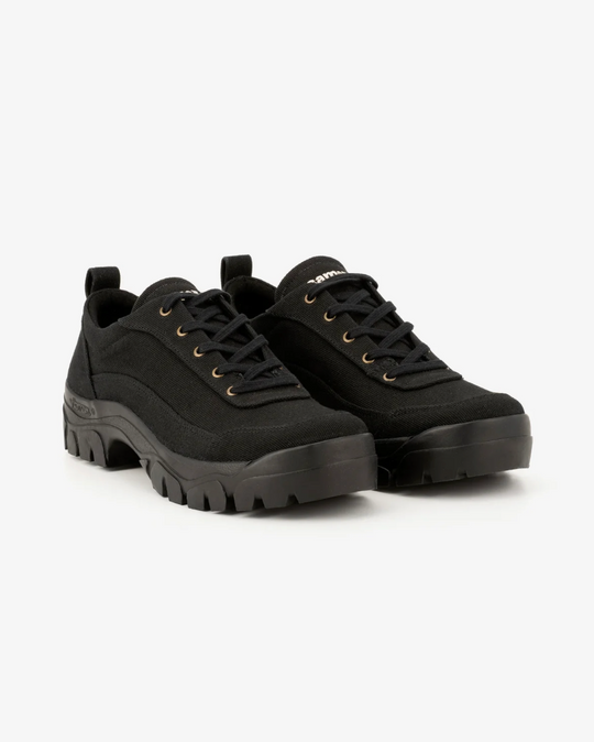 Dharma NatureDye™ Coal