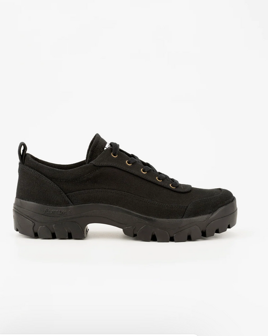 Dharma NatureDye™ Coal