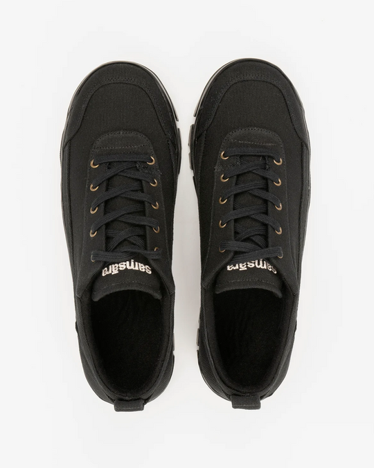 Dharma NatureDye™ Coal